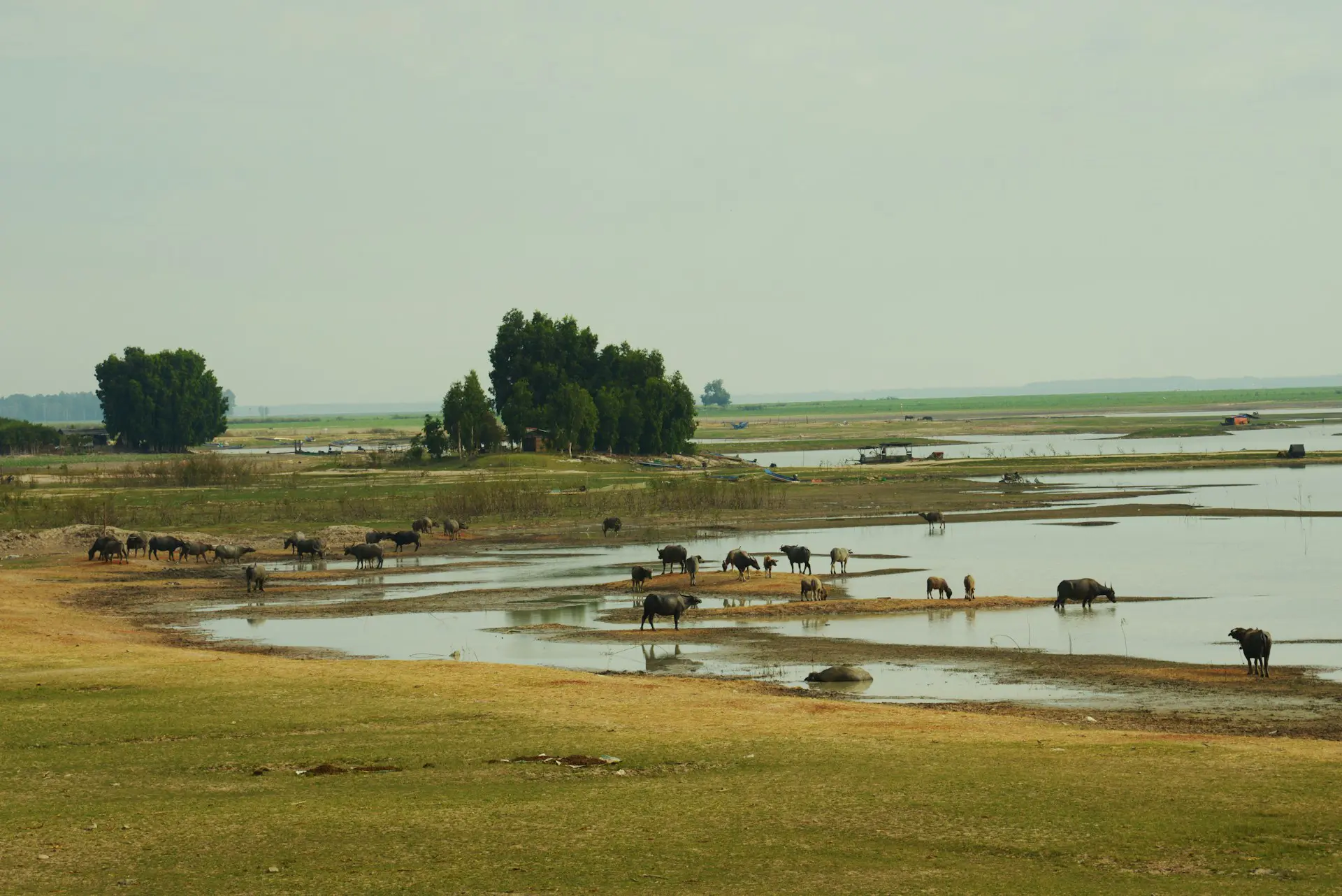 Restored wetland and wildlife habitat landscape with subtle data overlay representing biodiversity uplift and mitigation credit verification.