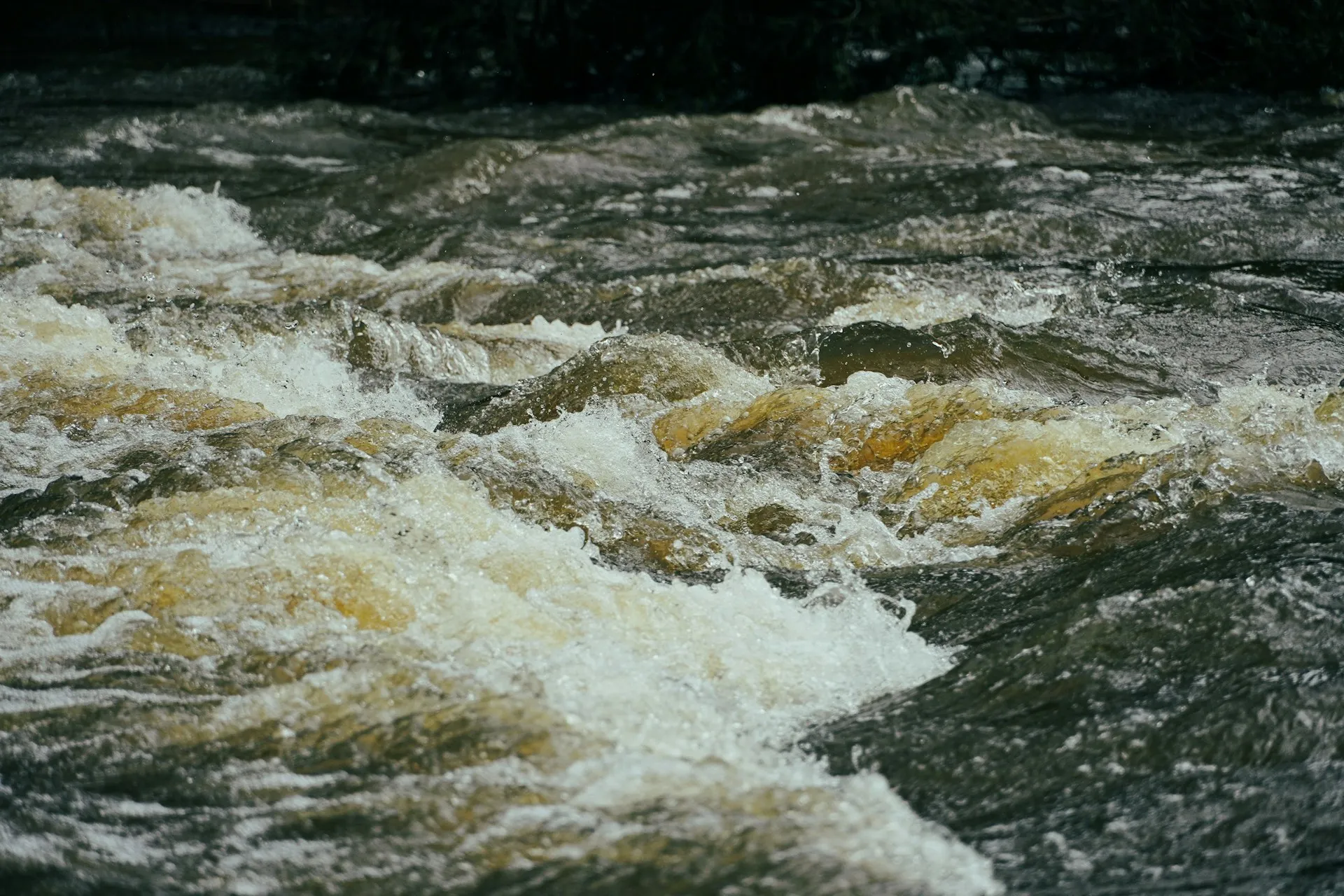 Water credits concept image showing a watershed, flowing river, and data overlay representing virtual water footprint and conservation impact.