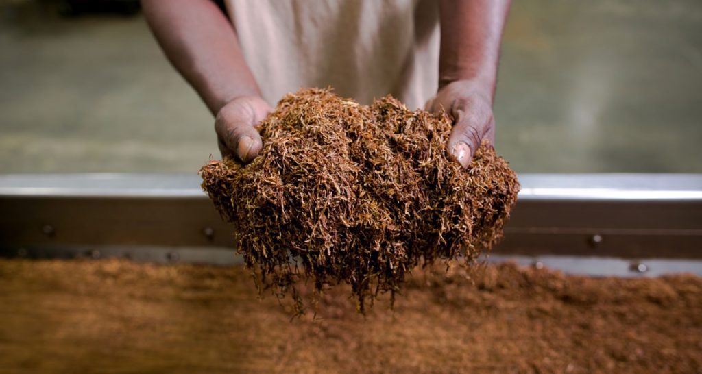 Hand stripped tobacco