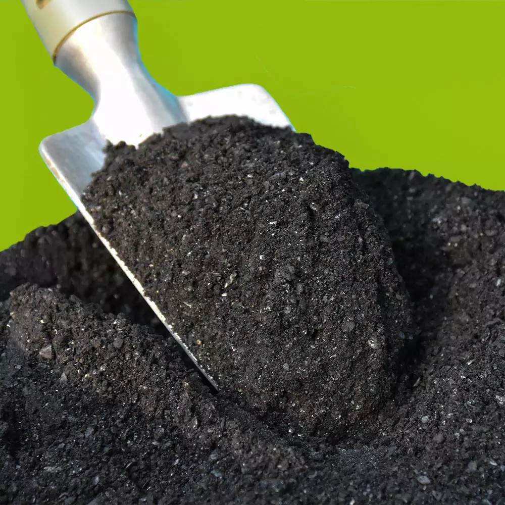 Biochar